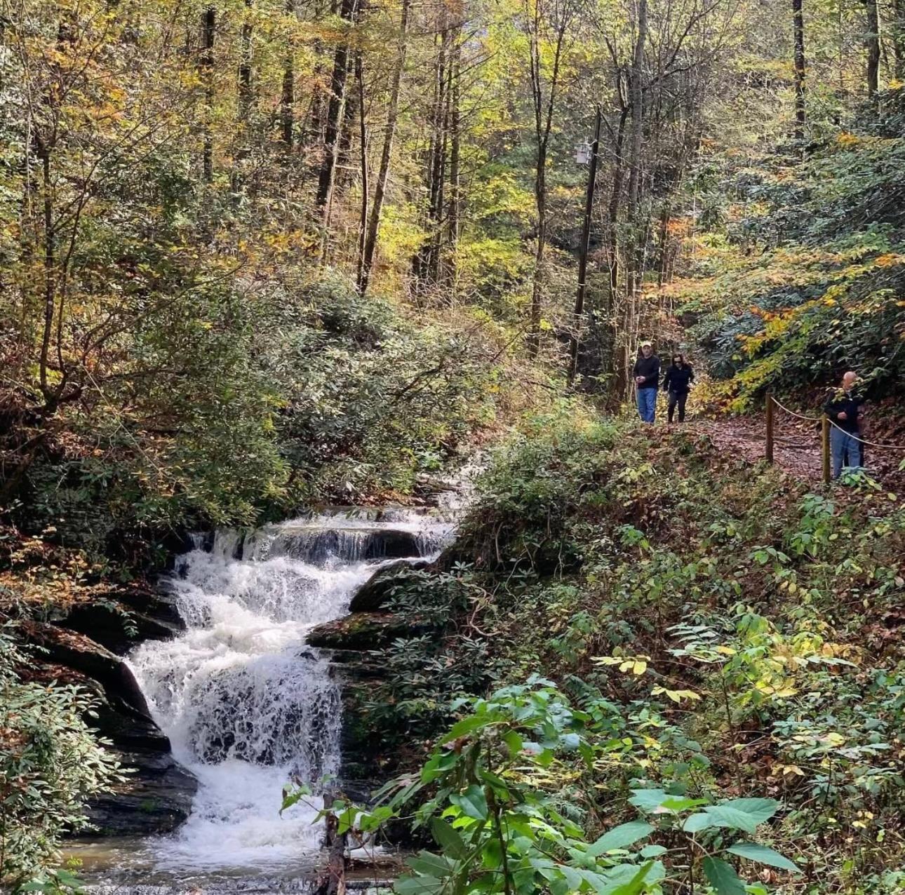 Yoli Bear Hideaway Villa Sevierville Exteriör bild